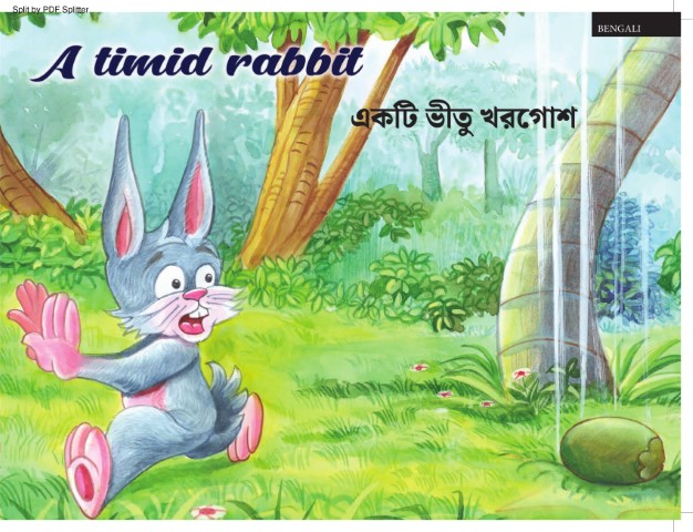 A Timid Rabbit